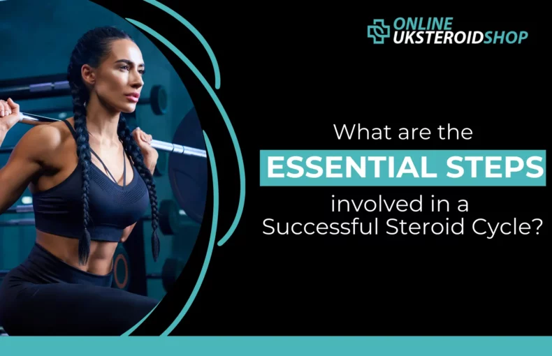 Steroid Cycle