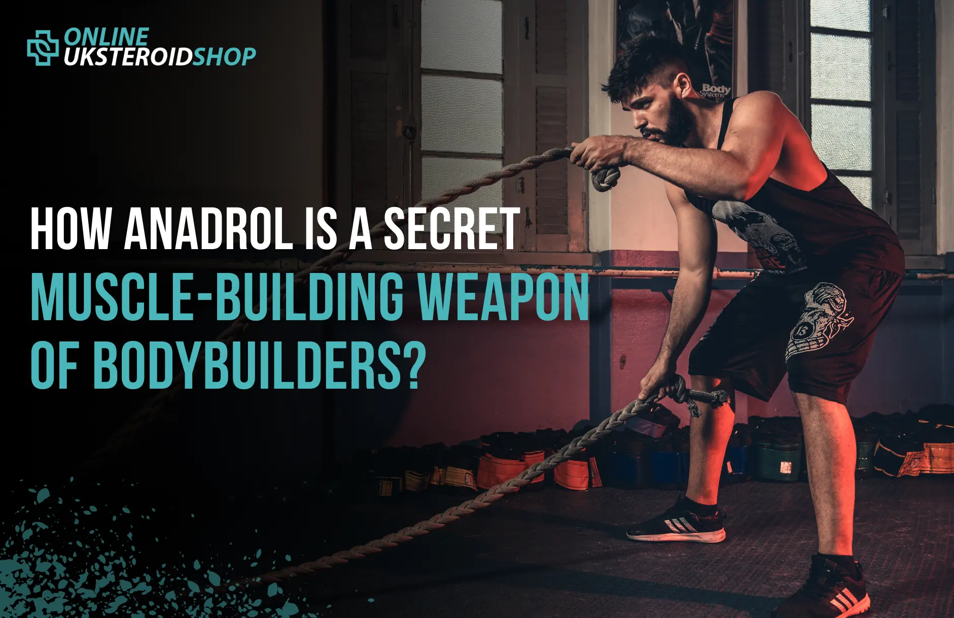 Anadrol, Oxymetholone, muscle building, bodybuilding, rapid muscle gain, strength enhancement, steroid