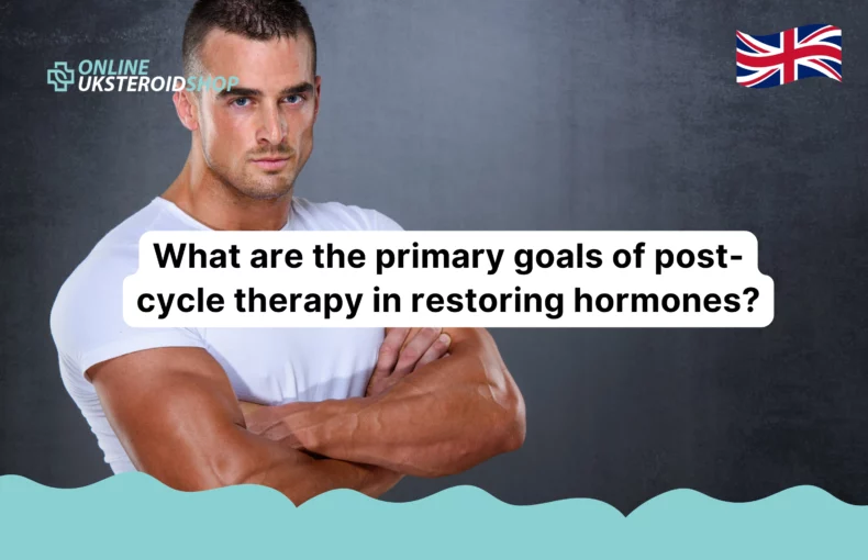 What are the primary goals of post-cycle therapy in restoring hormones?