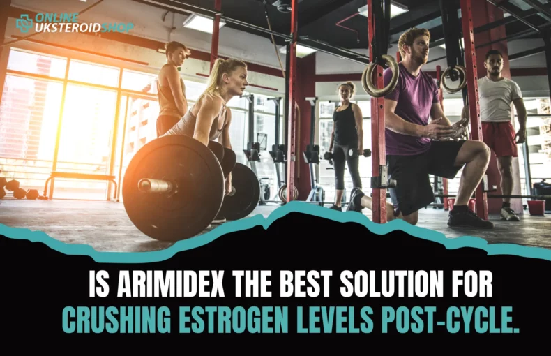 Is Arimidex the Best Solution for Controlling Estrogen Post-Cycle?