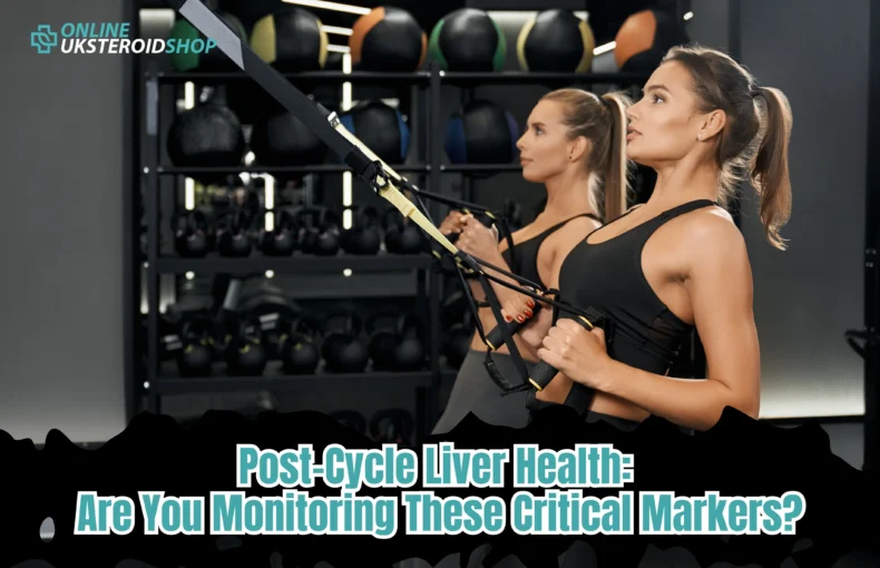 Post-Cycle Liver Health