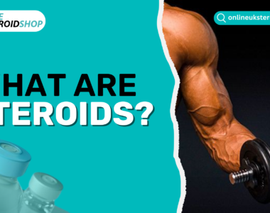 What Are Steroids?