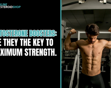 Testosterone Boosters Are They the Key to Maximum Strength