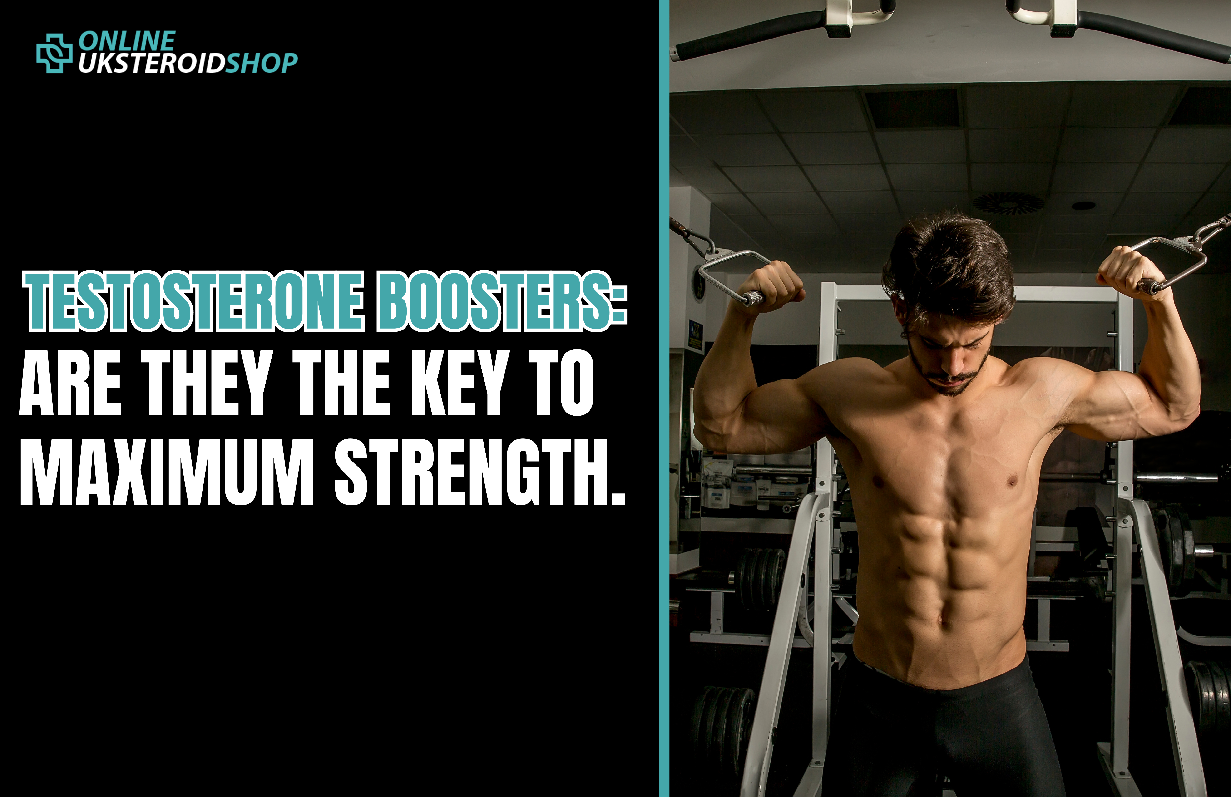 Testosterone Boosters Are They the Key to Maximum Strength