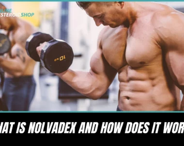 What Is Nolvadex