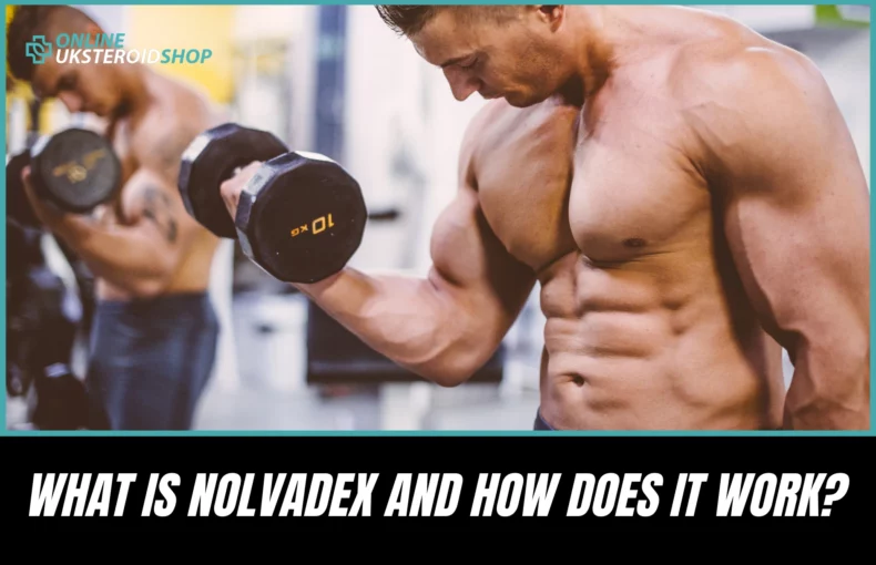 What Is Nolvadex