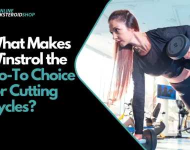 What Makes Winstrol the Go-To Choice for Cutting Cycles