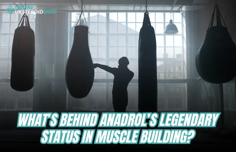 What’s Behind Anadrol’s Legendary Status in Muscle Building