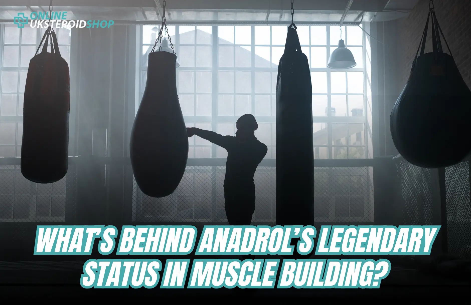 What’s Behind Anadrol’s Legendary Status in Muscle Building